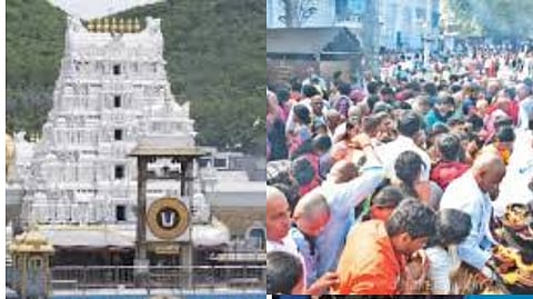 Tirupati Tirumala Darshan on Purattasi 4th Saturday 2025 in Tamil