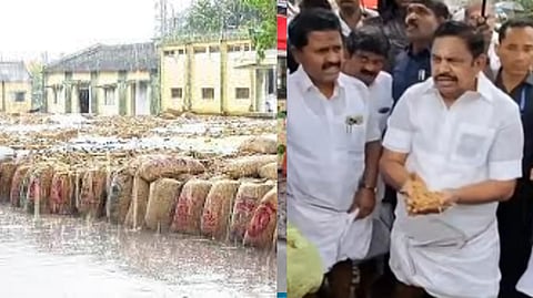 EPS field survey in Thanjavur, expressed his anguish, saying that this is a Diwali of tears for Delta farmers