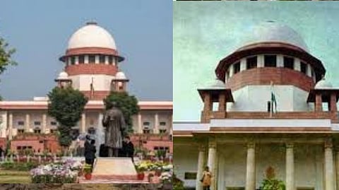 Stray Dogs Case, Supreme Court Summons Chief Secretaries Of States