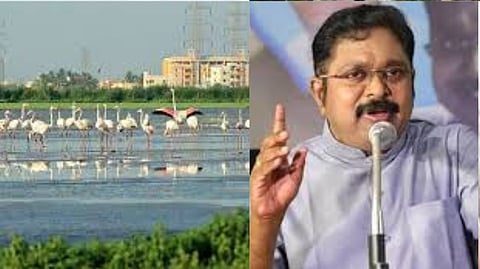 TTV Dhinakaran warned that flooding in Chennai will increase due to illegal permission being granted to build apartments in Pallikaranai
