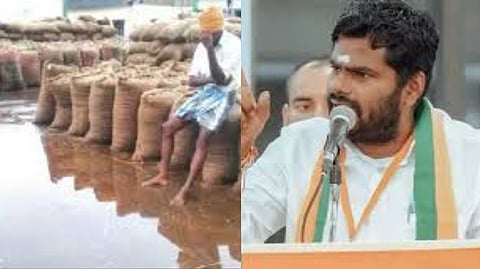 Annamalai condemned DMK's letter-writing drama, saying permanent solution to protecting paddy bundles from rain is secure warehouses