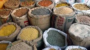 Record food grain production 2025 output breaks all previous highs, adding new chapters of success to India’s agriculture sector