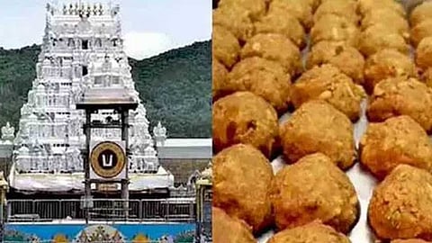 Tirupati Temple set record by selling 13 crore 95 lakh laddus in last financial year