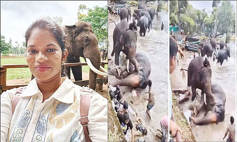 Eyes of woman killed in elephant fight donated, resilience in grief
