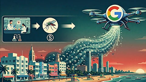Google's New Technology to Eradicate Mosquitoes: 32 Million Male Mosquitoes Set to Be Released!