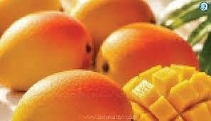 India's most delicious Alphonso and Kesar mangoes are flown abroad on passenger flights