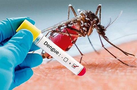 Dengue spreading rapidly in Sri Lanka; over 44,000 people affected, according to the Health Department.
