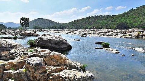 Mekedatu Dam: Dam cannot be built without Cauvery Management Authority's approval; Central Government clarifies