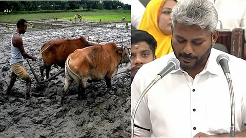 TN Budget: Rs 14,984 crore for farmers' welfare.