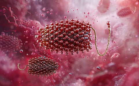 Chandipura Virus: Outbreak intensifies in Gujarat and Rajasthan; Health Department implements safety measures