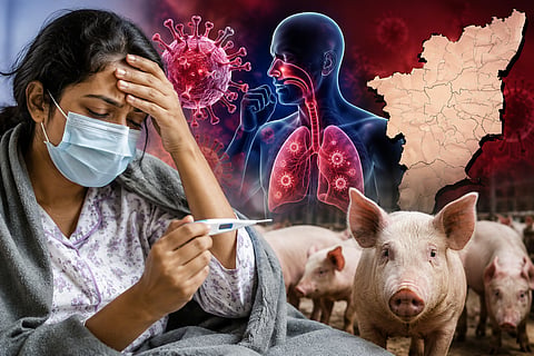 swine flu spreading rapidly in Tamil Nadu, Health Department warned immediate medical treatment 