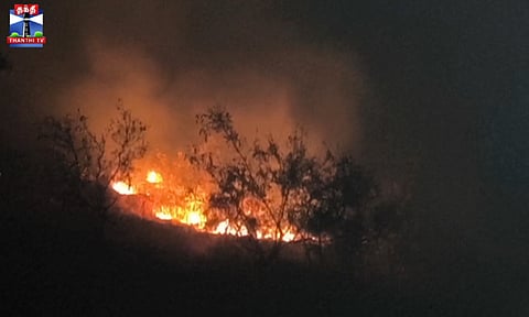 மலைக்கோவில் வனப்பகுதியில் காட்டுத்தீ - 50 ஏக்கர் வனப்பகுதி தீக்கிரை
