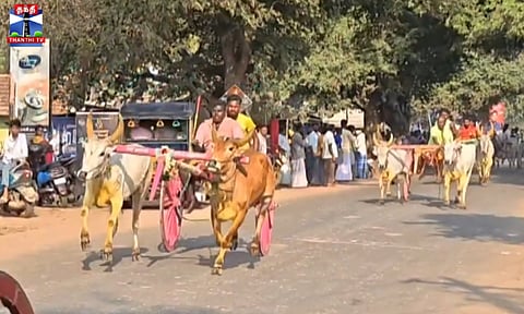 ஸ்ரீ முக்கன் ஆலய விழாவையொட்டி மாட்டு வண்டி எல்கை பந்தயம்
