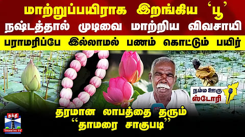 Tenkasi | Lotus Cultivation | மாற்றுப்பயிராக இறங்கிய `பூ’ - நஷ்டத்தால் முடிவை மாற்றிய விவசாயி
