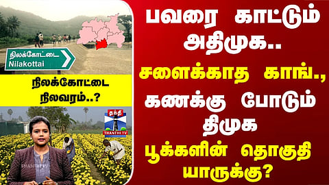Nilakottai | பவரை காட்டும் அதிமுக.. சளைக்காத காங்., கணக்கு போடும் திமுக - நிலக்கோட்டை நிலவரம்..?
