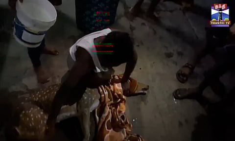 Hogenakkal | நாய்கள் துரத்தியதால் வீட்டிற்குள் புகுந்த புள்ளிமான் - மீட்ட வனத்துறை