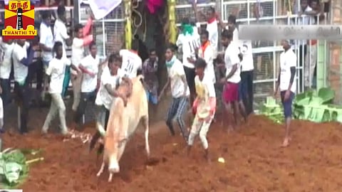 திருச்சி ஜல்லிக்கட்டில் ஒருவர் உயிரிழப்பு...