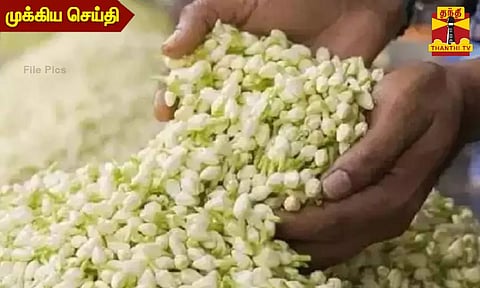 மதுரை மல்லிகை பூவின் விலை கிடு கிடு உயர்வு