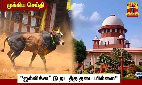 #BREAKING || "ஜல்லிக்கட்டு - தமிழக அரசுக்கு உரிமை உள்ளது"