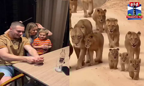 சோசியல் மீடியாவில் கவனம் ஈர்த்த வீடியோக்கள்