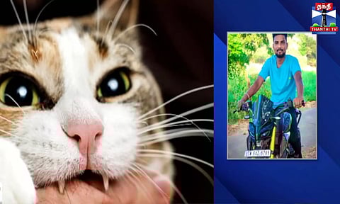 பூனை கடித்ததால் பாதிக்கப்பட்ட இளைஞர் தூக்கிட்டு தற்கொலை