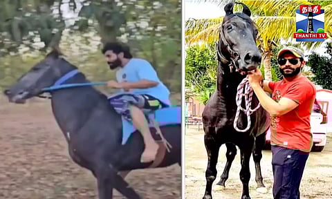 ஜடேஜா குதிரை சவாரி - சிஎஸ்கே மாஸ் வீடியோ