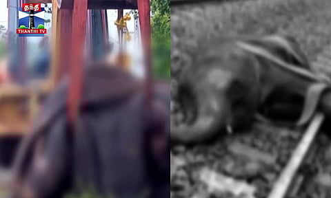 ரயில் மோதி 3 யானைகள் உடல் நசுங்கி உயிரிழப்பு