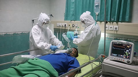 Green Fungus is caused by Aspergillus.