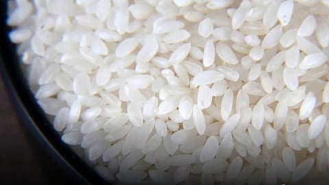 Fragrant Aambemohar Rice