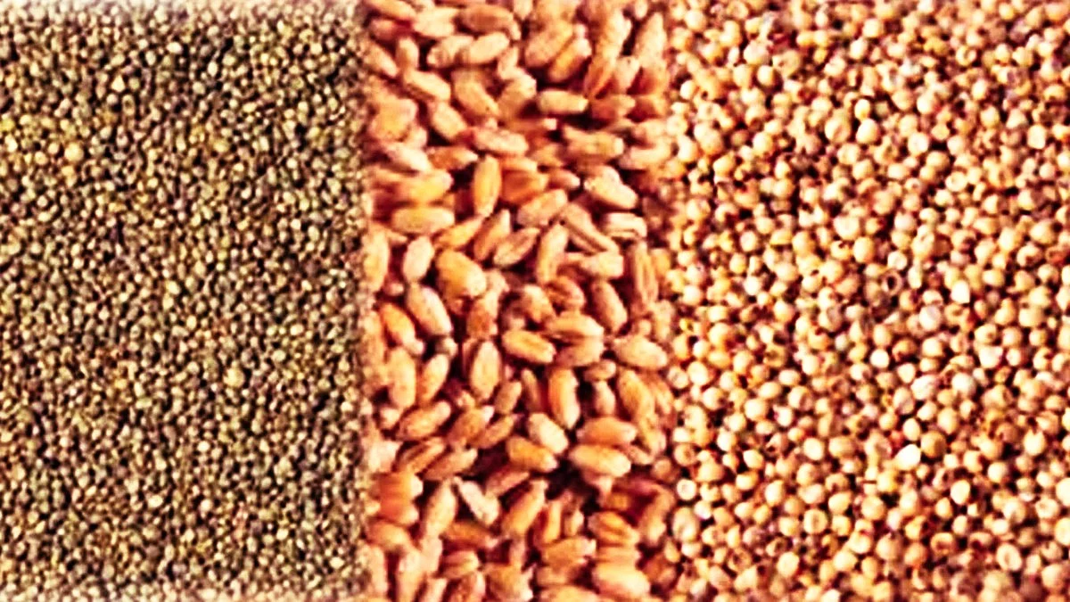 Millet