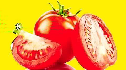 Tomato