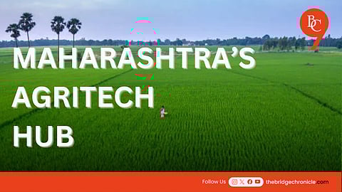 Is This City the Future of Smart Farming in India?
