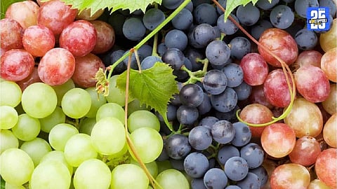 New Zealand May Resume Imports of Indian Grapes