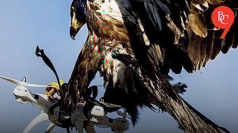 Telangana's Garuda Squad: Eagles Trained to Hunt Rogue Drones