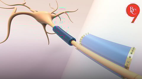 MIT Develops Tiny ‘Wearables’ for Cells to Fight Brain Diseases