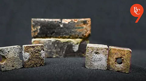 IISc Researchers Develop Bacteria to Repair Space Bricks, Set for Gaganyaan Mission