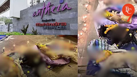 Pune Crime: 11 Stray Dogs Poisoned in Mahindra Anthea Society; 3 Dead, Case Registered