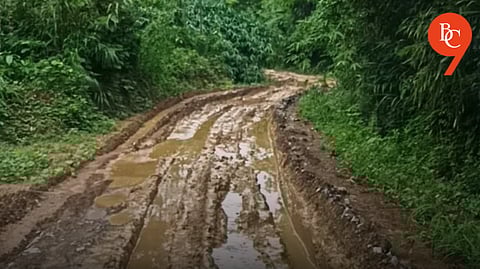 What If the Forest Blooms at Ujad Bailgadha Ghat?