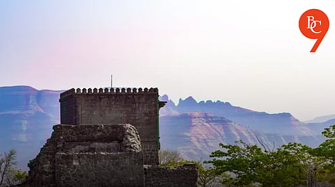 Pune: 16 Tourists, Including 5 Children, Injured in Honeybee Attack at Shivneri Fort