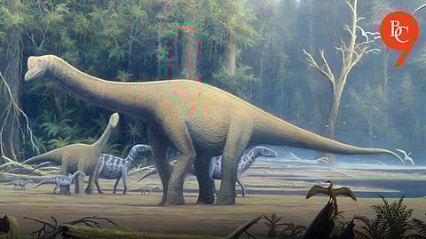 Maleriraptor kuttyi: New Dinosaur Species Discovered in India Redefines Early Evolution