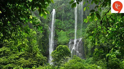 5 Best Waterfalls Near Pune to Visit This Monsoon