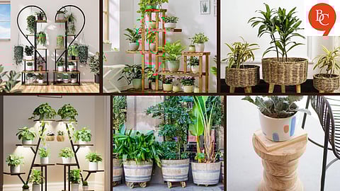 Smart Plant Stand Ideas for Indoors and Outdoors