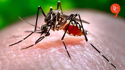 PMC Caps Dengue Test Cost at ₹600
