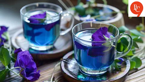 Why You Should Start Your Day with a Sip of Blue Tea: 5 Science-Backed Reasons