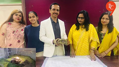 Pune Turtle Undergoes Rare Laparoscopic Surgery, Makes Remarkable Recovery