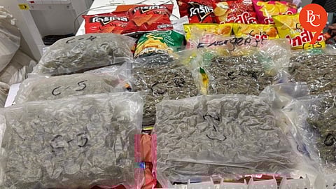 Pune Airport: Passenger From Bangkok Caught With ₹6 Crore Worth of Cannabis