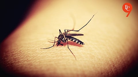 ICMR Develops New Multi-Stage Malaria Vaccine