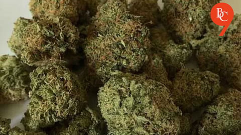 Policeman Suspended in Pune for Role in Ganja Sale