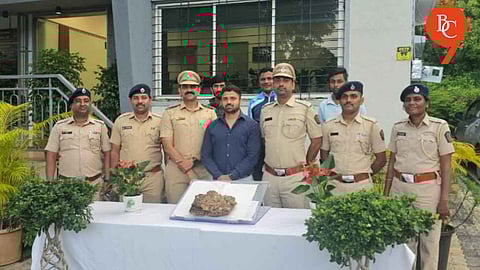 Pune Forest Officials Seize Whale Vomit Worth ₹2 Crore