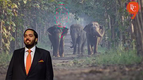 Supreme Court Gives Clean Chit to Anant Ambani's Vantara of all Allegations